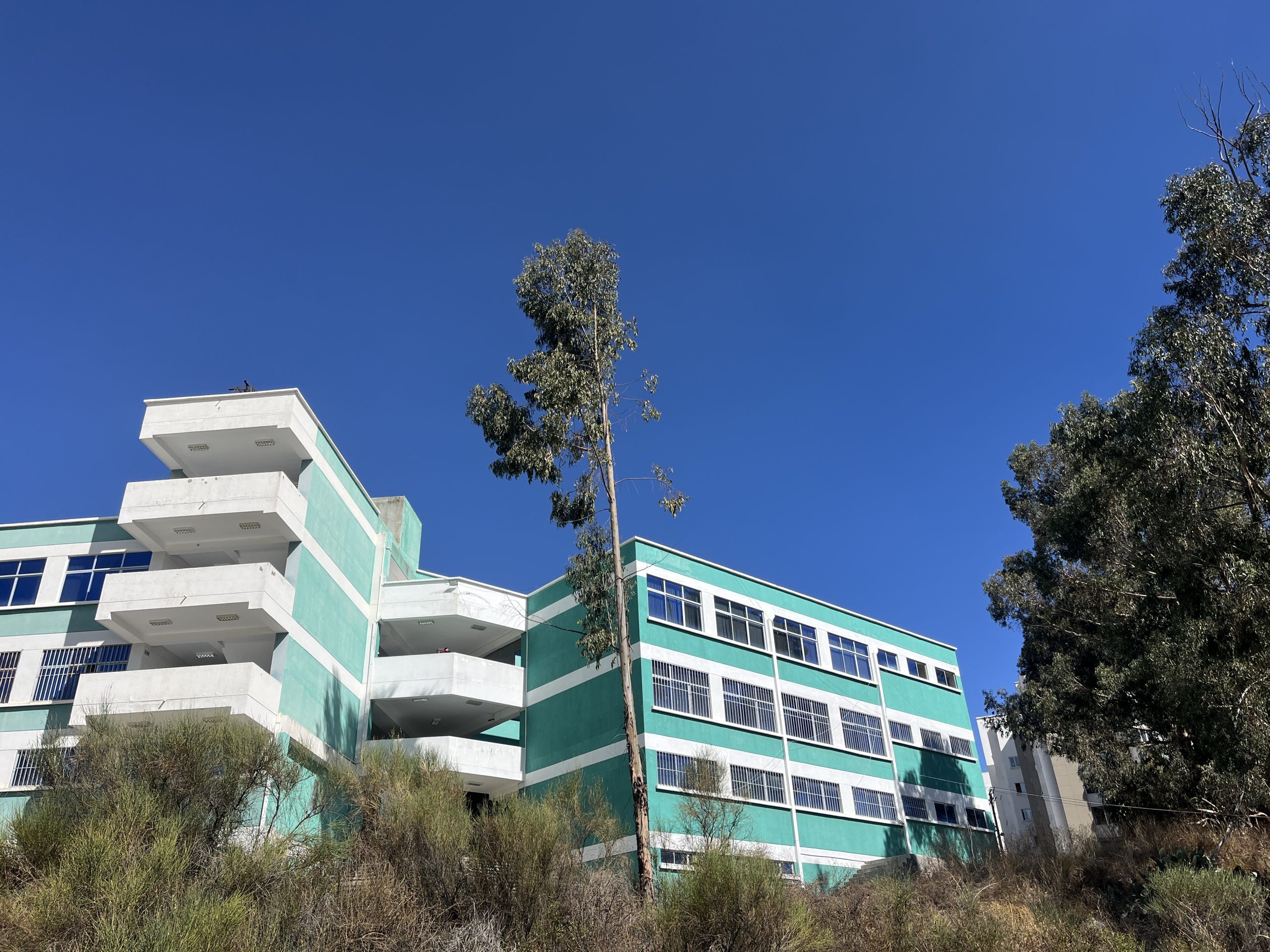 Educacion e investigacion al servicio de la industria petrolera